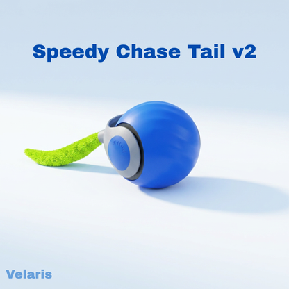 Speedy Chase Tail v2