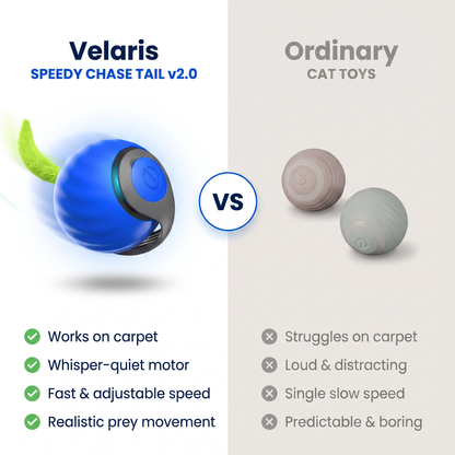 Speedy Chase Tail v2
